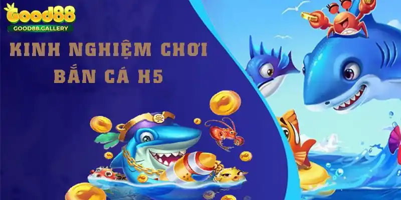Bí kíp săn ngư H5 hiệu quả và bất bại